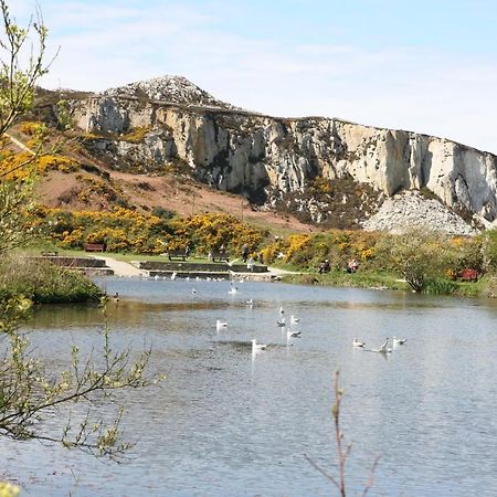 Swn Y Nant Villa Holyhead Bagian luar foto