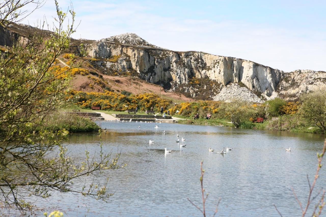 Swn Y Nant Villa Holyhead Bagian luar foto